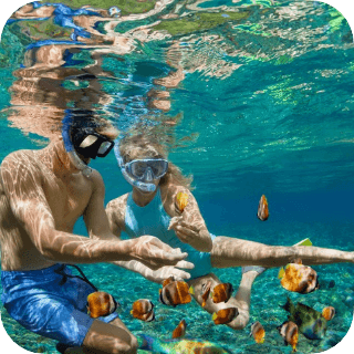 Couple snorkeling with fishes
