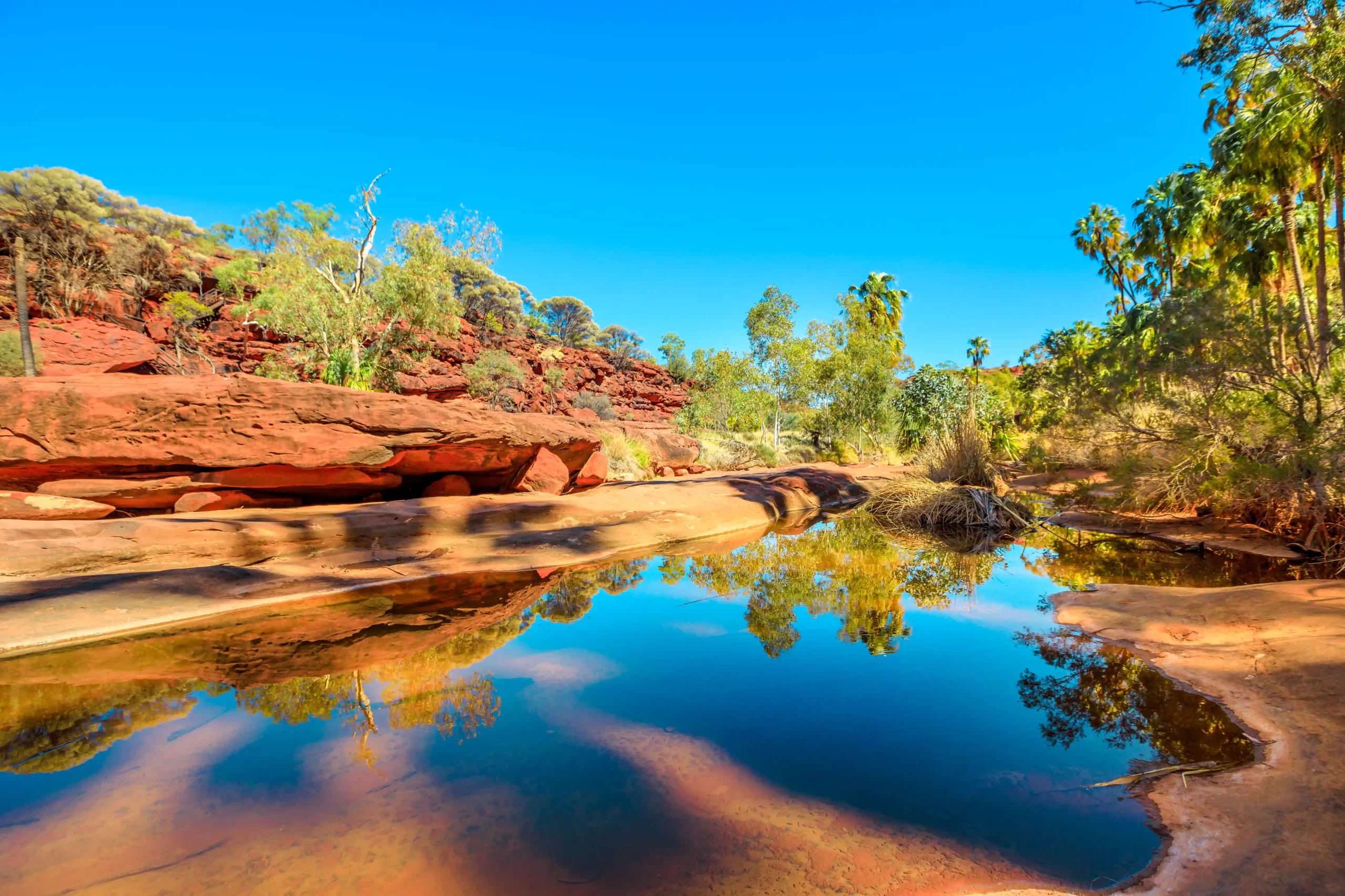 Palm Valley in Northern Territory