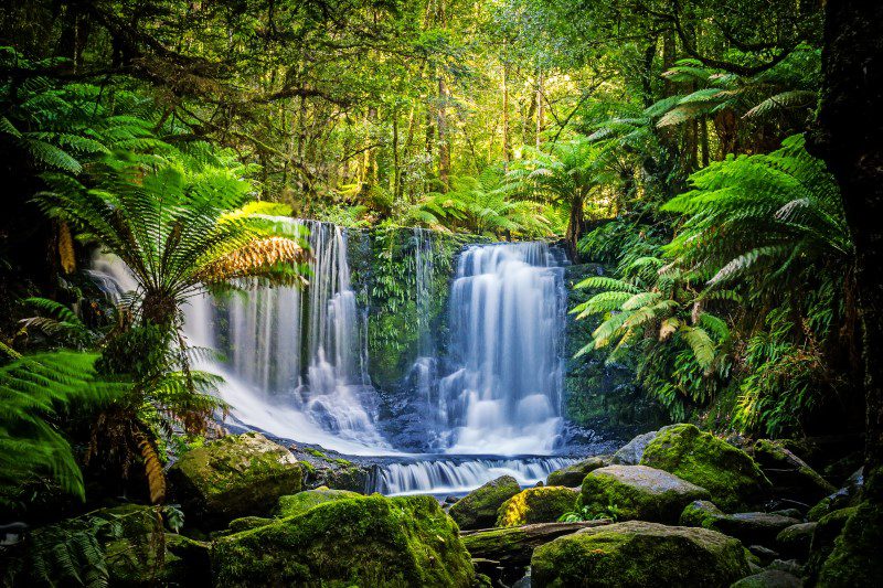 Waterfall surrounded by lush waterfall near Launceston in Tasmania