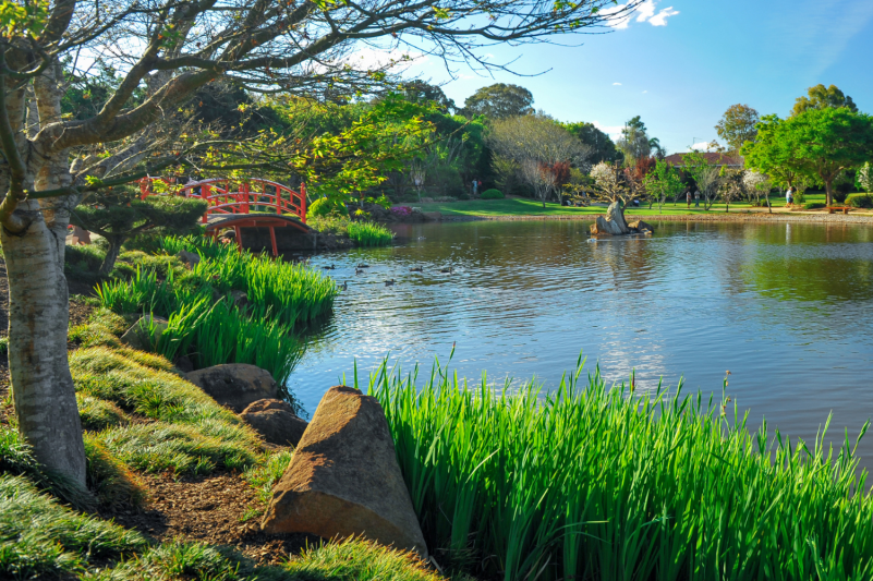 Japanese gardens in Toowoomba